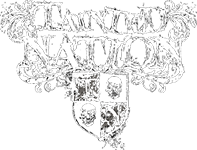 tn200